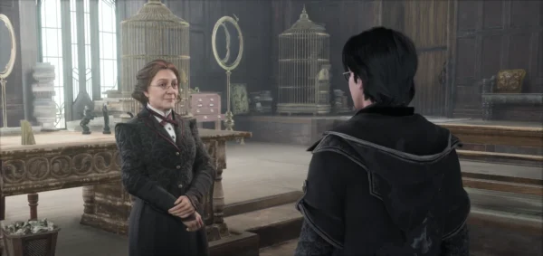 Professor Weasley’s Assignment