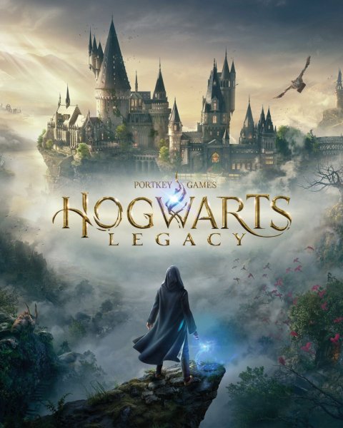 Hogwarts Legacy wizard facing Hogwarts castle on cliff