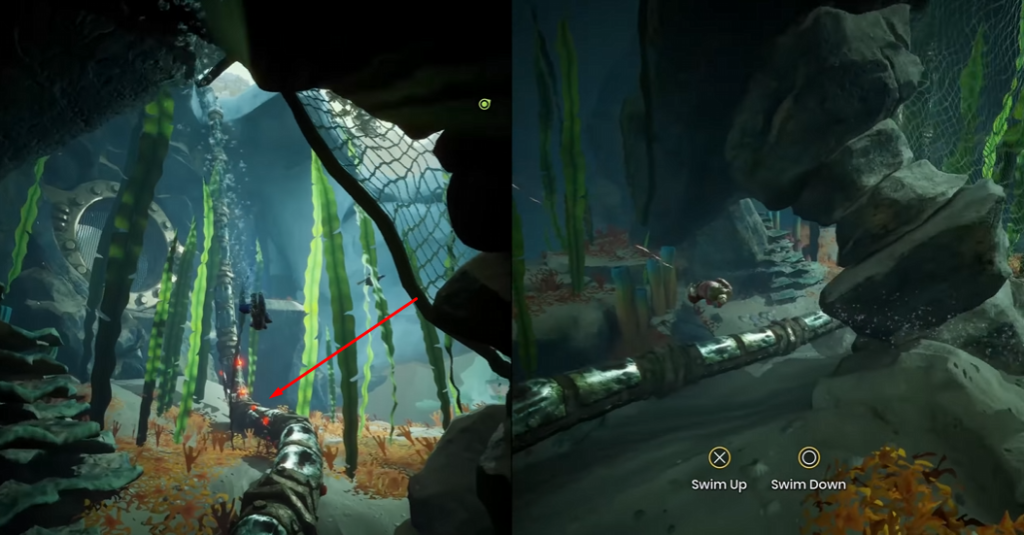 Two divers swim underwater near pipe and seaweed