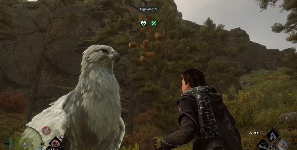 Wizard facing white hippogriff on rocky hillside