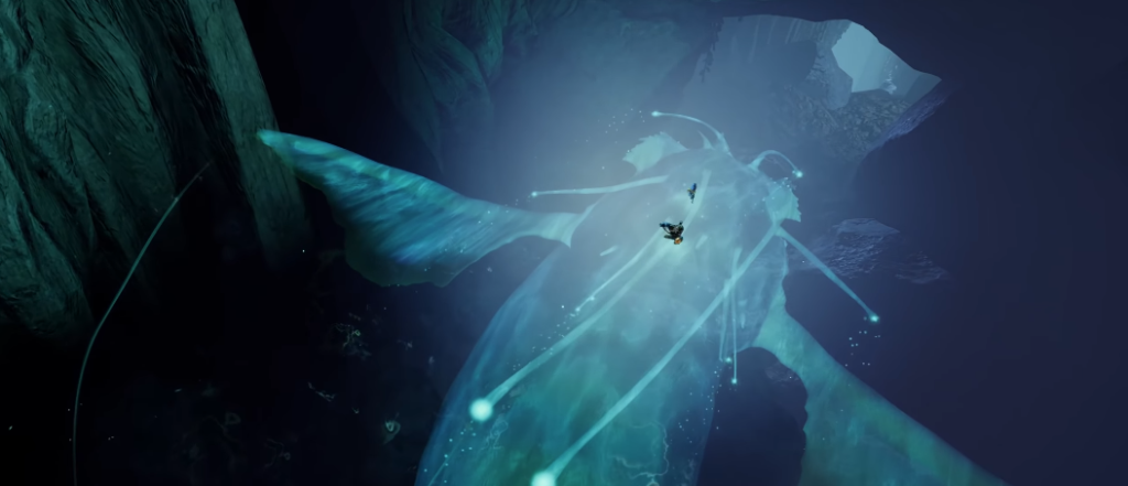 Swimmer rides giant blue manta ray in cave
