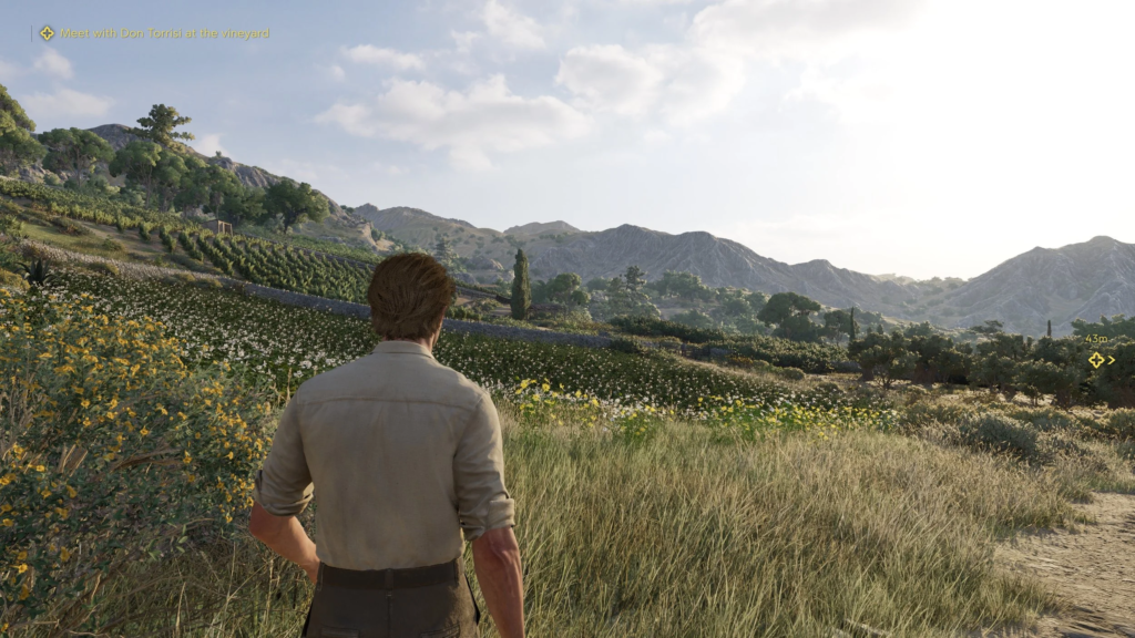 Man walking through vineyard fields toward distant mountains