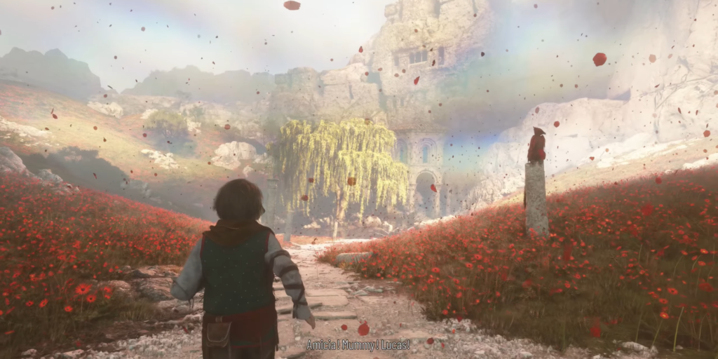 Boy walking along path through red flower field