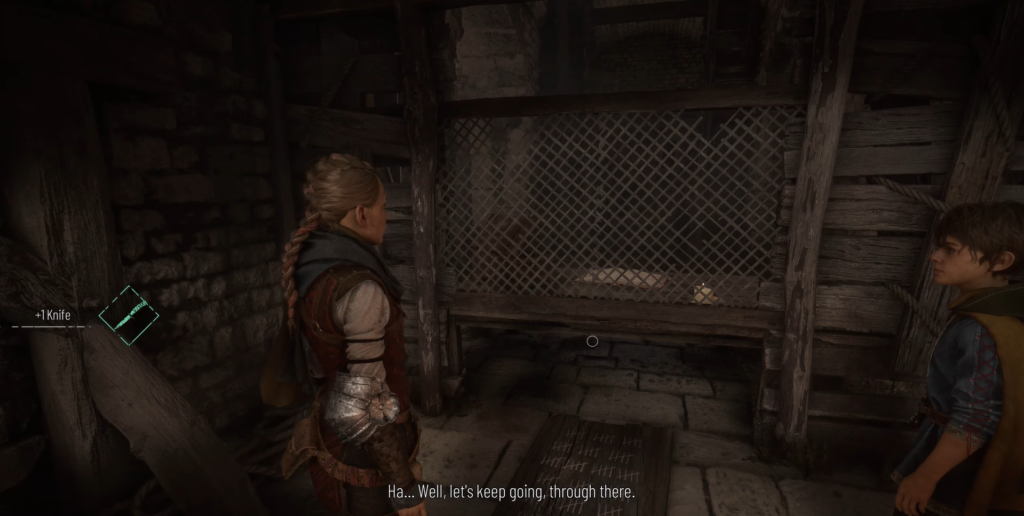 Amicia and Hugo look at mesh gate indoors