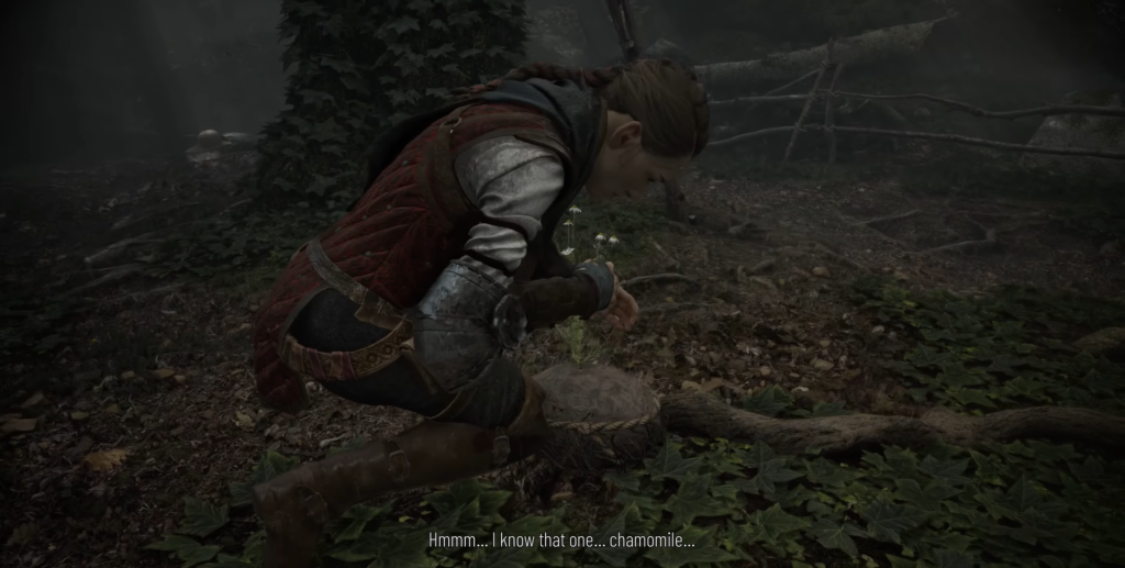Amicia de Rune picking chamomile, A Plague Tale