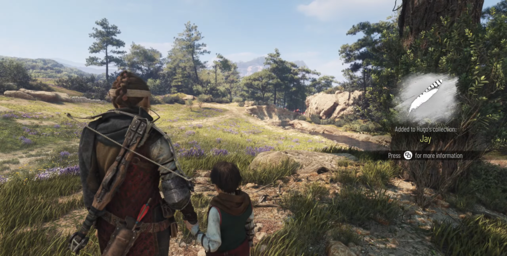 Amicia and Hugo walking in a grassy field.