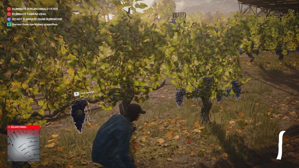 Hitman 3 Agent 47 picking grapes in vineyard
