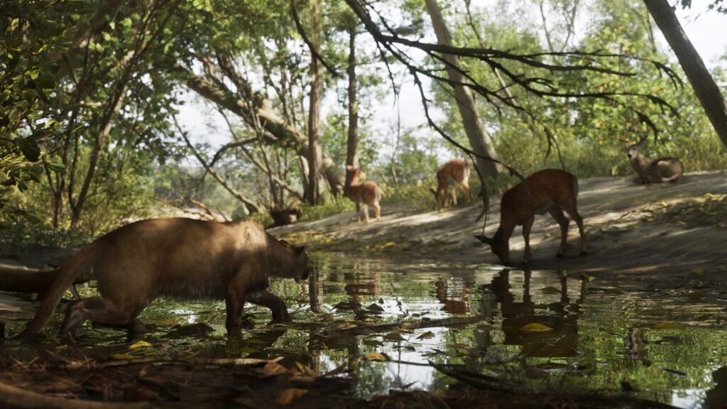 Cougar stalking deer near forest pond