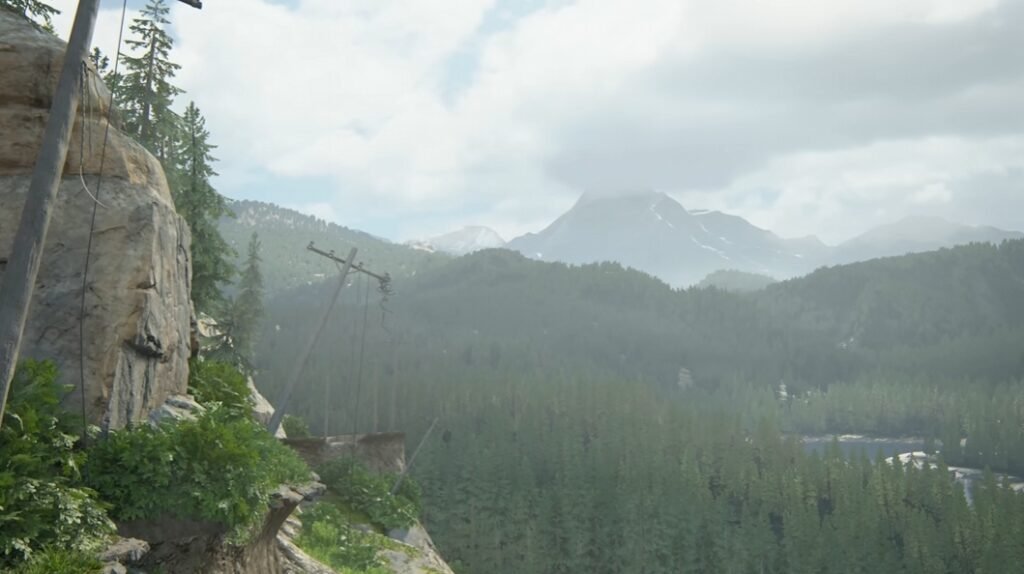 Rock cliff overlooks forested valley and distant mountains
