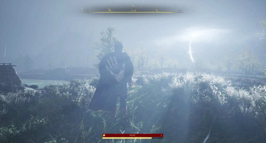 Elden Ring player character stands in rainy field at night